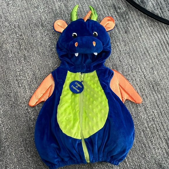 Baby Dragon Costume 🐉 - Picture 1 of 4